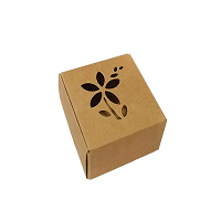 Kraft Die Cut Boxes 1