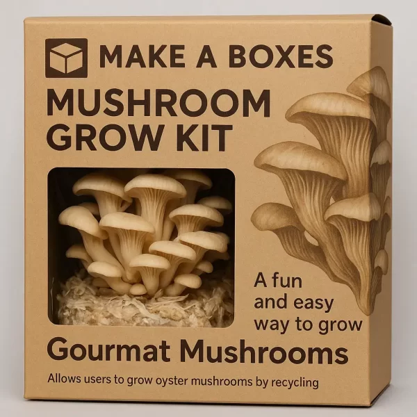 Mushroom Boxes 2