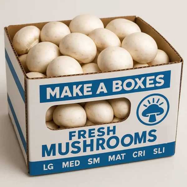 Mushroom Boxes 3
