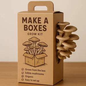 Mushroom Boxes 4