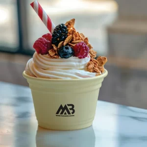 Custom Ice Cream Cups 4