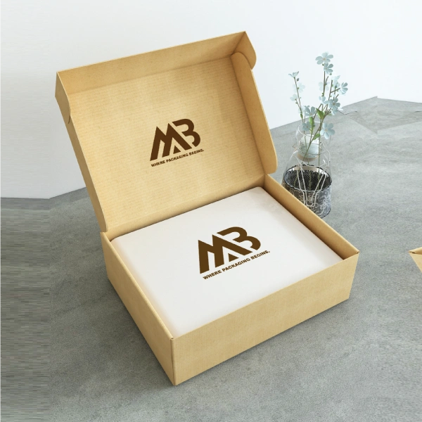 Custom Mailer Boxes 2
