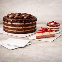 300–350 GSM SBS Board