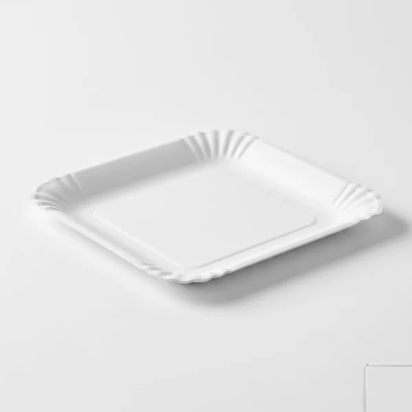 Square Paper Plates 4