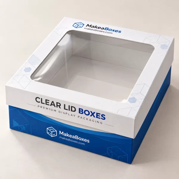 Clear Lid Boxes 1